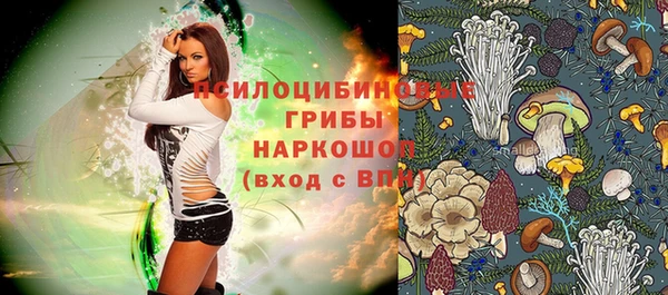 ALPHA PVP Лабытнанги
