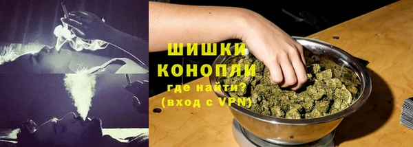 индика Кулебаки
