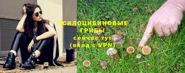 твердый Ладушкин
