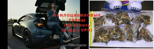 герыч Лагань