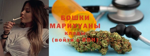 твердый Ладушкин