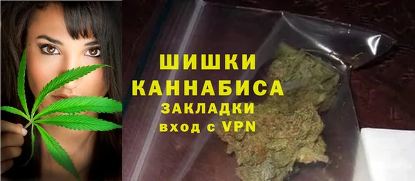 твердый Ладушкин