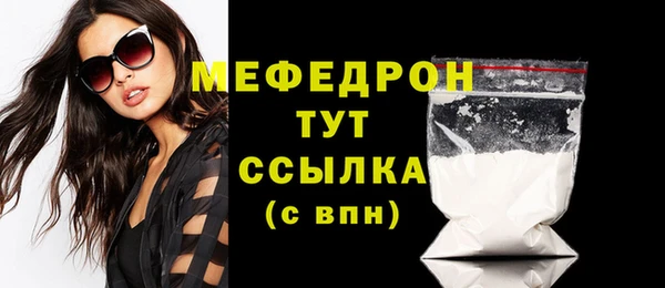 индика Кулебаки