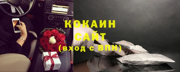 твердый Ладушкин