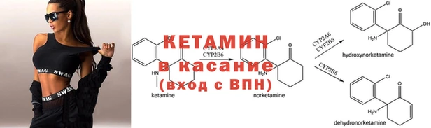 прущие крисы Ельня