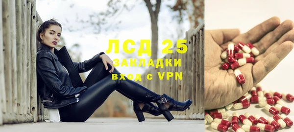 прущие грибы Лиски