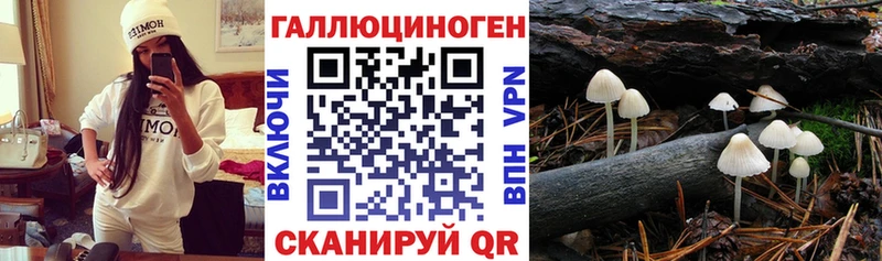 Галлюциногенные грибы мицелий  нарко площадка как зайти  Липки 