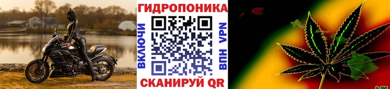 блэк спрут зеркало  Липки  Конопля LSD WEED 